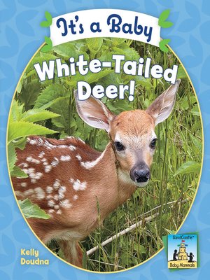 cover image of It's a Baby White-Tailed Deer